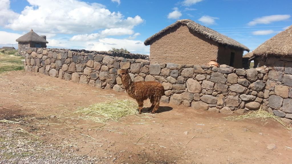 Our visit to Puno: Part 1 - Sillustani